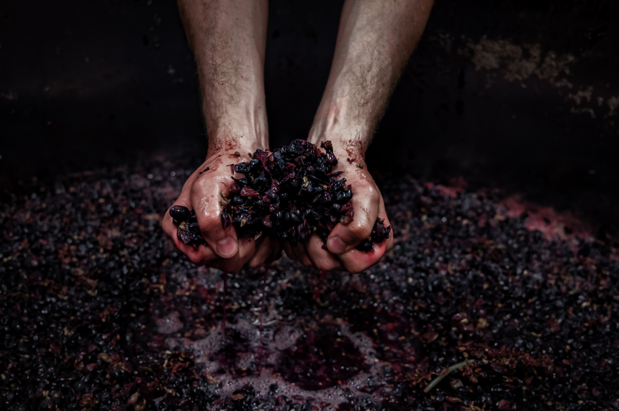 [Deep Dive] 0.01%의 승부 : 대기업(Grand Maison)을 이기는 '아티잔(Artisan)'의 4가지 생존 법칙