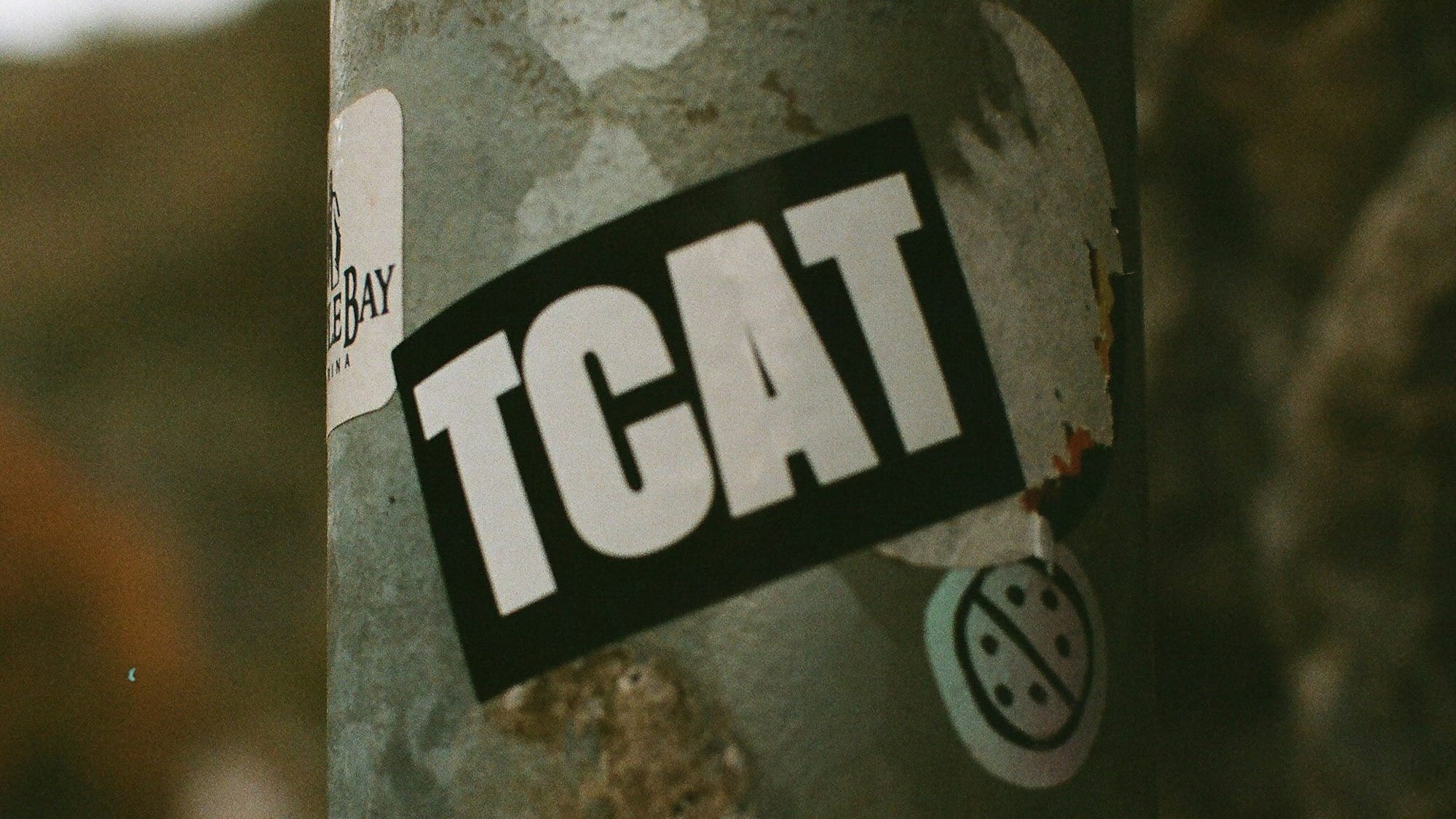 기술은 AI에게, 감각은 인간에게