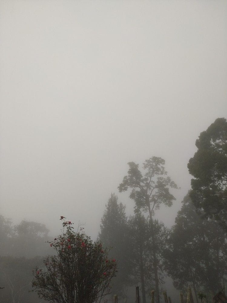 Litost - 자기 비참함의 자각