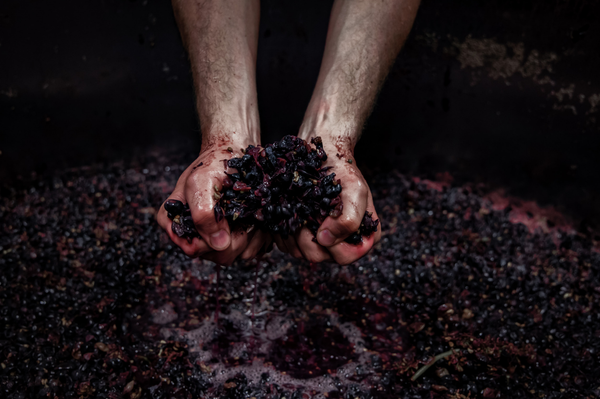 [Deep Dive] 0.01%의 승부 : 대기업(Grand Maison)을 이기는 '아티잔(Artisan)'의 4가지 생존 법칙