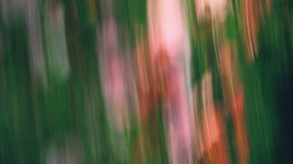 [Deep Dive] 물리학이라는 위로: 정해진 운명 안에서 자유를 찾는 법