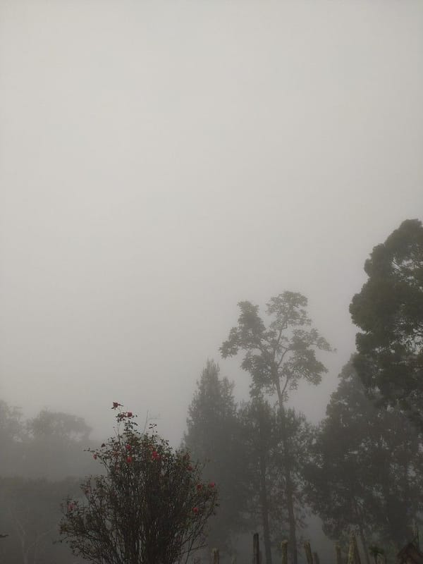 Litost - 자기 비참함의 자각